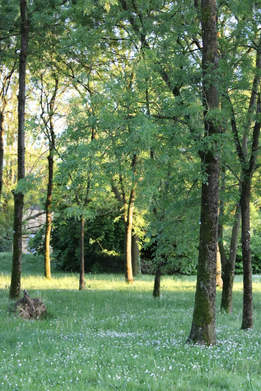 Parco Nazionale del Pollino: guida completa alle escursioni, rifugi e animali