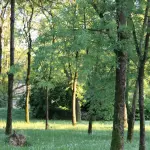Parco Nazionale del Pollino: guida completa alle escursioni, rifugi e animali