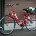 Da Roma a Matera in bici, 600 chilometri per lanciare un messaggio di pace