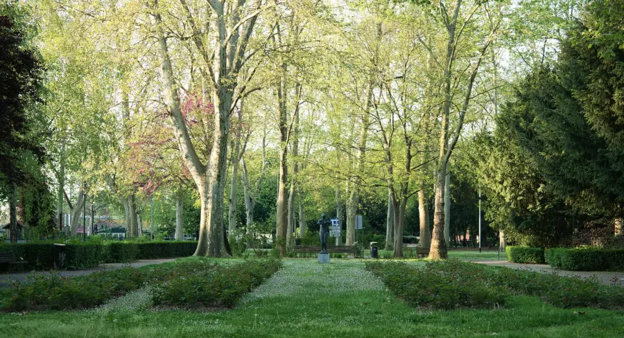Potenza, viaggio nel bosco di Macchia Romana per il Piano urbano del verde
