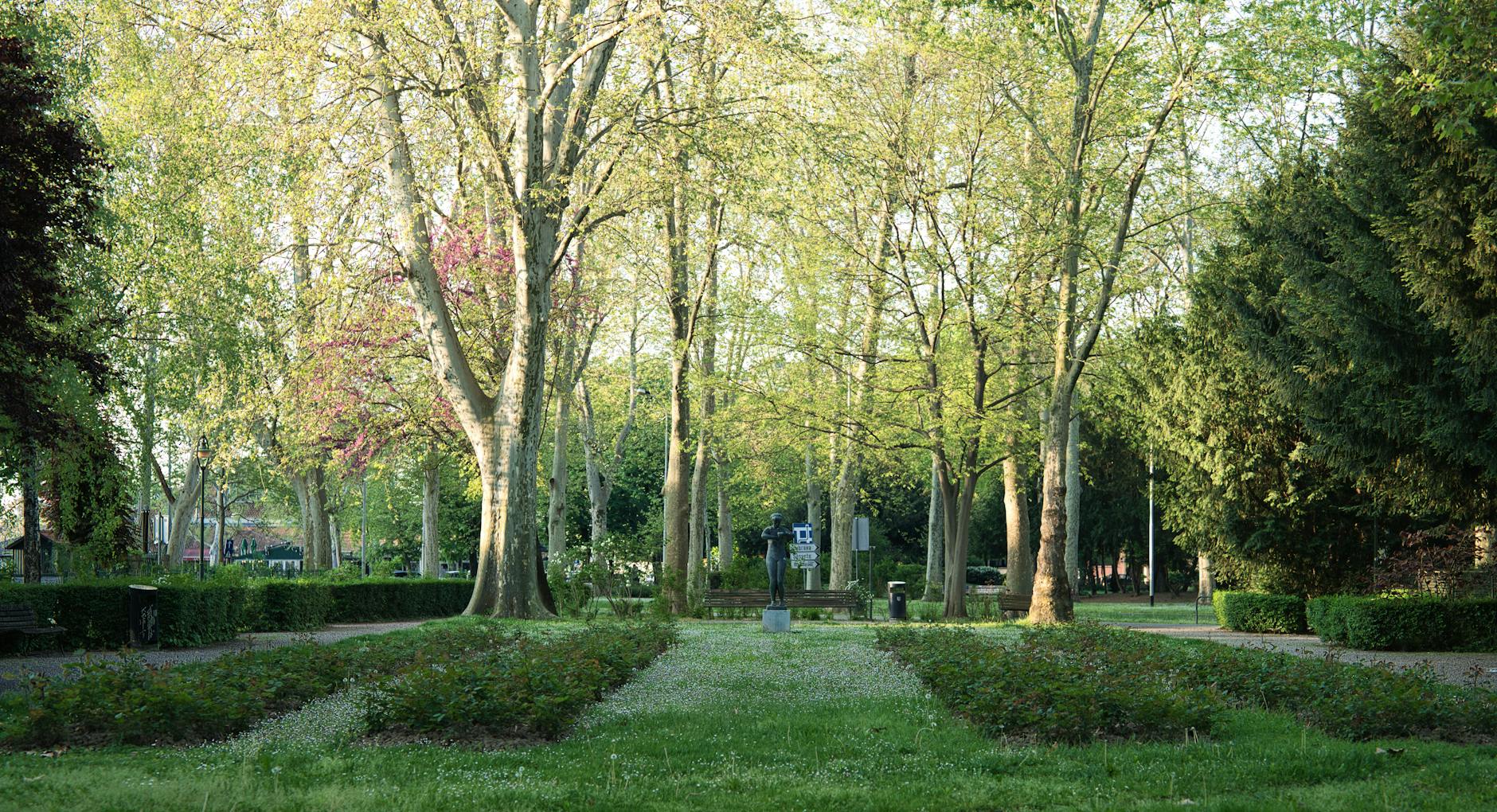 Potenza, viaggio nel bosco di Macchia Romana per il Piano urbano del verde
