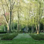 Potenza, viaggio nel bosco di Macchia Romana per il Piano urbano del verde