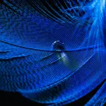 Potenza illumina il Palazzo di Città di blu per la Giornata mondiale dell’Obesità